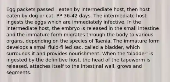 Egg packets passed - eaten by intermediate host, then host eaten by dog or cat. PP 36-42 days. The intermediate host ingests the eggs which are immediately infective. In the intermediate host, the embryo is released in <a href='https://www.questionai.com/knowledge/kt623fh5xn-the-small-intestine' class='anchor-knowledge'>the small intestine</a> and the immature form migrates through the body to various organs, depending on the species of Taenia. The immature form develops a small fluid-filled sac, called a bladder, which surrounds it and provides nourishment. When the 'bladder' is ingested by the definitive host, the head of the tapeworm is released, attaches itself to the intestinal wall, grows and segments.