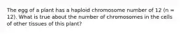 The egg of a plant has a haploid chromosome number of 12 (n = 12). What is true about the number of chromosomes in the cells of other tissues of this plant?