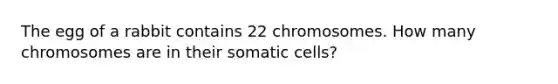 The egg of a rabbit contains 22 chromosomes. How many chromosomes are in their somatic cells?