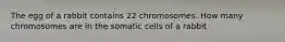 The egg of a rabbit contains 22 chromosomes. How many chromosomes are in the somatic cells of a rabbit