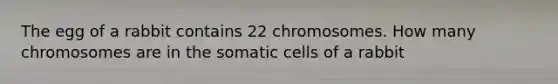 The egg of a rabbit contains 22 chromosomes. How many chromosomes are in the somatic cells of a rabbit