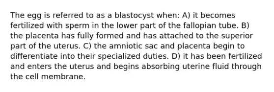 The egg is referred to as a blastocyst when: A) it becomes fertilized with sperm in the lower part of the fallopian tube. B) the placenta has fully formed and has attached to the superior part of the uterus. C) the amniotic sac and placenta begin to differentiate into their specialized duties. D) it has been fertilized and enters the uterus and begins absorbing uterine fluid through the cell membrane.