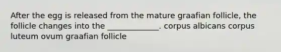 After the egg is released from the mature graafian follicle, the follicle changes into the _____________. corpus albicans corpus luteum ovum graafian follicle