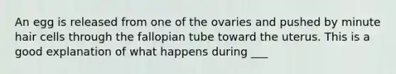 An egg is released from one of the ovaries and pushed by minute hair cells through the fallopian tube toward the uterus. This is a good explanation of what happens during ___