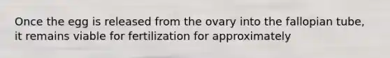 Once the egg is released from the ovary into the fallopian tube, it remains viable for fertilization for approximately