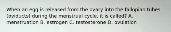 When an egg is released from the ovary into the fallopian tubes (oviducts) during the menstrual cycle, it is called? A. menstruation B. estrogen C. testosterone D. ovulation