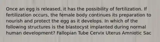 Once an egg is released, it has the possibility of fertilization. If fertilization occurs, the female body continues its preparation to nourish and protect the egg as it develops. In which of the following structures is the blastocyst implanted during normal human development? Fallopian Tube Cervix Uterus Amniotic Sac