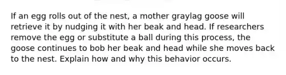 If an egg rolls out of the nest, a mother graylag goose will retrieve it by nudging it with her beak and head. If researchers remove the egg or substitute a ball during this process, the goose continues to bob her beak and head while she moves back to the nest. Explain how and why this behavior occurs.