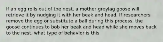 If an egg rolls out of the nest, a mother greylag goose will retrieve it by nudging it with her beak and head. If researchers remove the egg or substitute a ball during this process, the goose continues to bob her beak and head while she moves back to the nest. what type of behavior is this