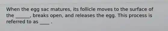 When the egg sac matures, its follicle moves to the surface of the ______, breaks open, and releases the egg. This process is referred to as ____ .