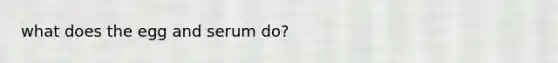 what does the egg and serum do?