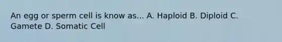 An egg or sperm cell is know as... A. Haploid B. Diploid C. Gamete D. Somatic Cell