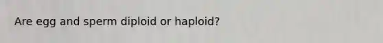 Are egg and sperm diploid or haploid?