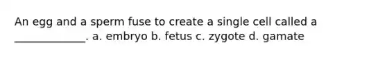 An egg and a sperm fuse to create a single cell called a _____________. a. embryo b. fetus c. zygote d. gamate