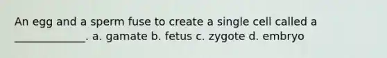 An egg and a sperm fuse to create a single cell called a _____________. a. gamate b. fetus c. zygote d. embryo