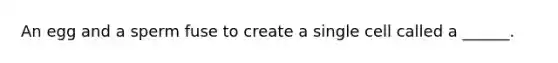 An egg and a sperm fuse to create a single cell called a ______.