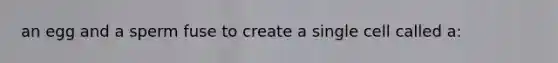 an egg and a sperm fuse to create a single cell called a: