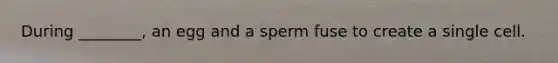 During ________, an egg and a sperm fuse to create a single cell.