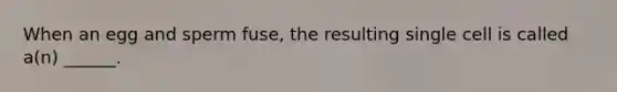 When an egg and sperm fuse, the resulting single cell is called a(n) ______.