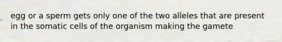 egg or a sperm gets only one of the two alleles that are present in the somatic cells of the organism making the gamete