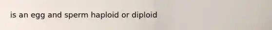 is an egg and sperm haploid or diploid