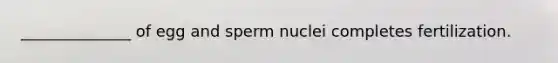 ______________ of egg and sperm nuclei completes fertilization.