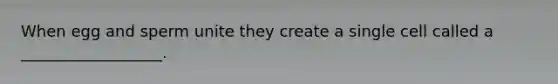 When egg and sperm unite they create a single cell called a __________________.