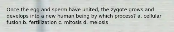 Once the egg and sperm have united, the zygote grows and develops into a new human being by which process? a. cellular fusion b. fertilization c. mitosis d. meiosis