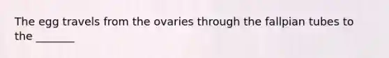 The egg travels from the ovaries through the fallpian tubes to the _______