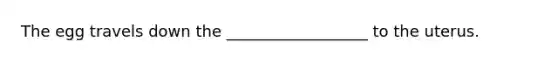 The egg travels down the __________________ to the uterus.