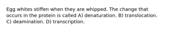 Egg whites stiffen when they are whipped. The change that occurs in the protein is called A) denaturation. B) translocation. C) deamination. D) transcription.