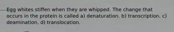 Egg whites stiffen when they are whipped. The change that occurs in the protein is called a) denaturation. b) transcription. c) deamination. d) translocation.