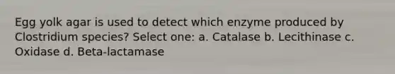 Egg yolk agar is used to detect which enzyme produced by Clostridium species? Select one: a. Catalase b. Lecithinase c. Oxidase d. Beta-lactamase