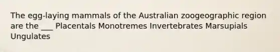 The egg-laying mammals of the Australian zoogeographic region are the ___ Placentals Monotremes Invertebrates Marsupials Ungulates