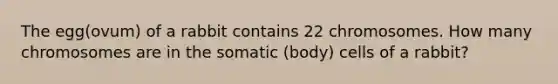 The egg(ovum) of a rabbit contains 22 chromosomes. How many chromosomes are in the somatic (body) cells of a rabbit?