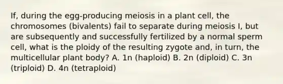 If, during the egg-producing meiosis in a plant cell, the chromosomes (bivalents) fail to separate during meiosis I, but are subsequently and successfully fertilized by a normal sperm cell, what is the ploidy of the resulting zygote and, in turn, the multicellular plant body? A. 1n (haploid) B. 2n (diploid) C. 3n (triploid) D. 4n (tetraploid)