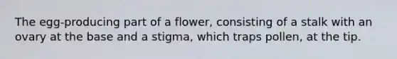 The egg-producing part of a flower, consisting of a stalk with an ovary at the base and a stigma, which traps pollen, at the tip.