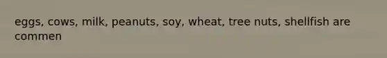 eggs, cows, milk, peanuts, soy, wheat, tree nuts, shellfish are commen