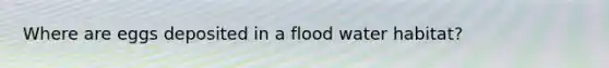 Where are eggs deposited in a flood water habitat?