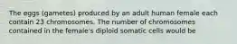 The eggs (gametes) produced by an adult human female each contain 23 chromosomes. The number of chromosomes contained in the female's diploid somatic cells would be