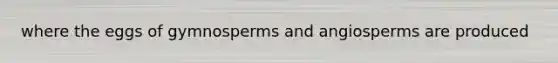 where the eggs of gymnosperms and angiosperms are produced