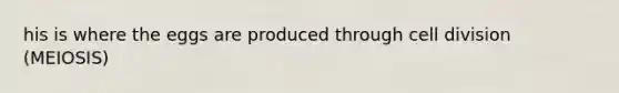 his is where the eggs are produced through cell division (MEIOSIS)