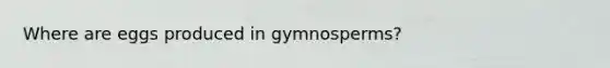 Where are eggs produced in gymnosperms?