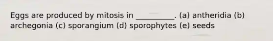 Eggs are produced by mitosis in __________. (a) antheridia (b) archegonia (c) sporangium (d) sporophytes (e) seeds