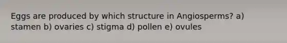 Eggs are produced by which structure in Angiosperms? a) stamen b) ovaries c) stigma d) pollen e) ovules