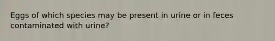 Eggs of which species may be present in urine or in feces contaminated with urine?