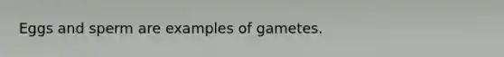 Eggs and sperm are examples of gametes.