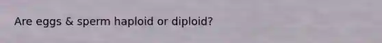 Are eggs & sperm haploid or diploid?