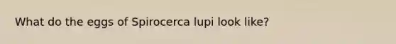 What do the eggs of Spirocerca lupi look like?