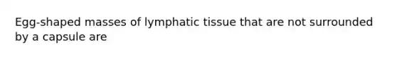 Egg-shaped masses of lymphatic tissue that are not surrounded by a capsule are